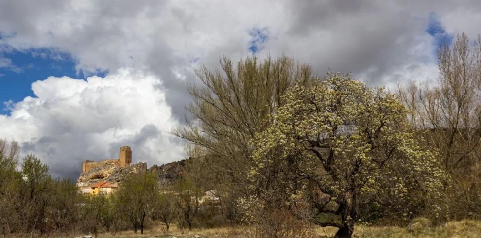 El CITA colabora en la III Jornada técnica del Valle del río Manubles