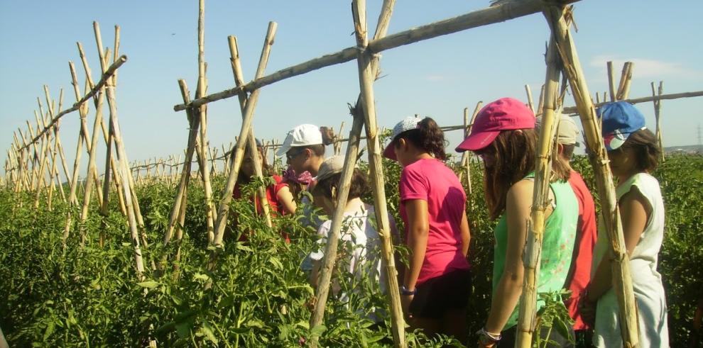 El Gobierno de Aragón organiza una nueva edición del campus infantil de Semana Santa de La Alfranca