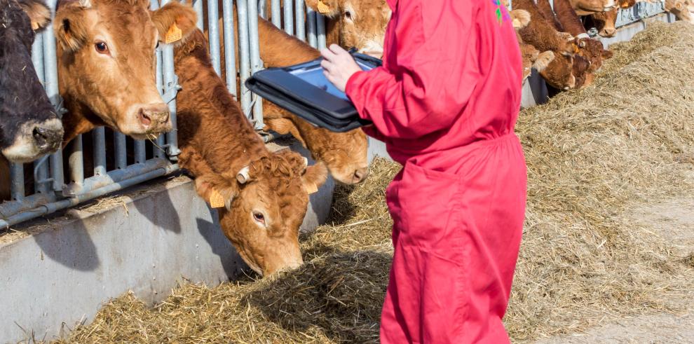 Desarrollo Rural crea una unidad de trabajo en torno a la mujer rural