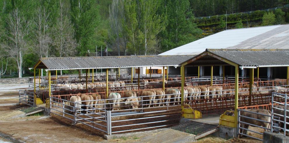 Escolares de toda España visitan la finca Experimental  del CITA La Garcipollera en el marco de las "Rutas Científicas, Artísticas y Literarias"