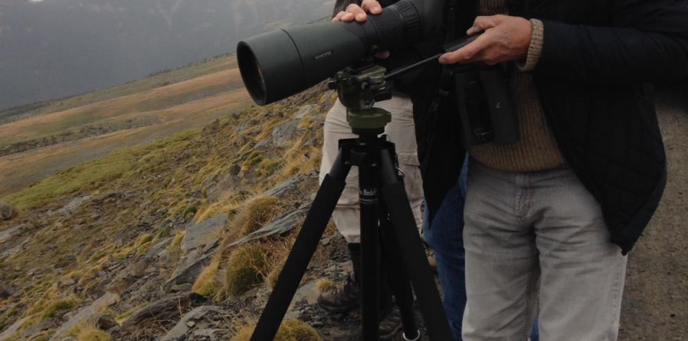 Agencias de viaje de Londres visitan las rutas ornitológicas de Aragón