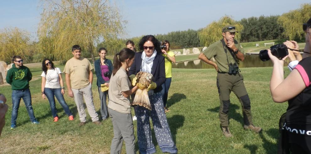 Liberados en la naturaleza ocho nuevos ejemplares de milano real procedentes del programa de Cría en cautividad 