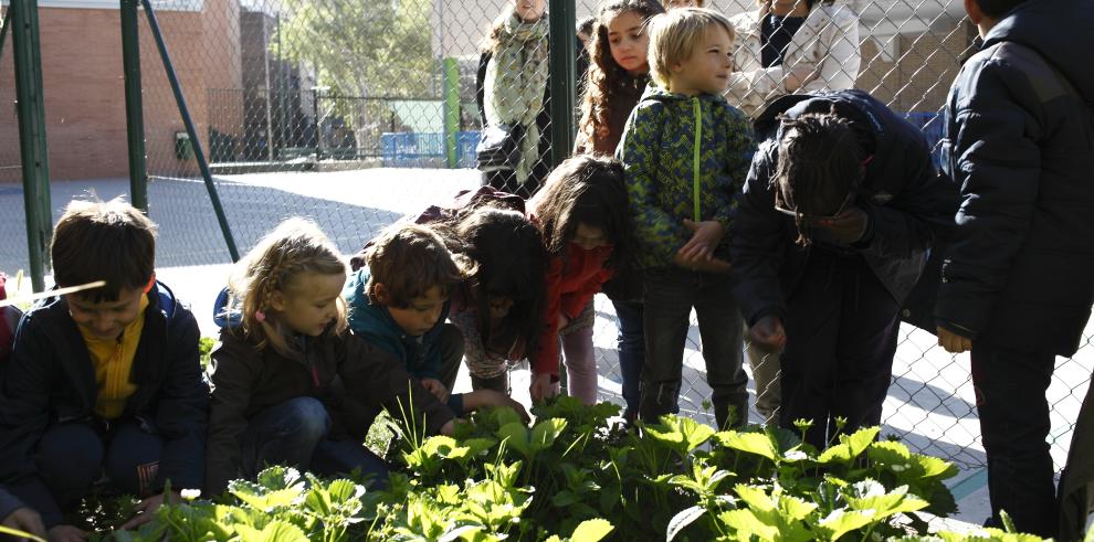 La escuela pública celebra por primera vez una jornada conjunta de puertas abiertas a la sociedad