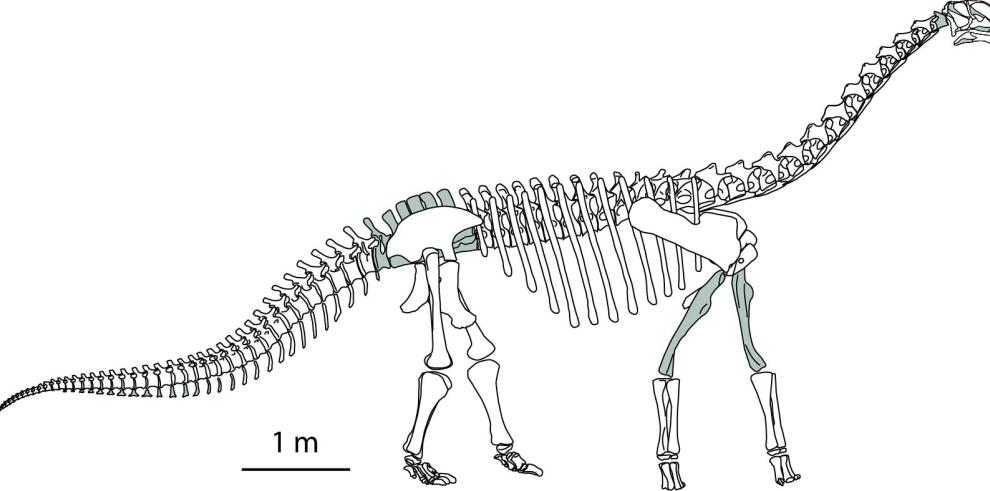 Identificado un nuevo dinosaurio de UTAH (Estados Unidos) con orígenes en Teruel