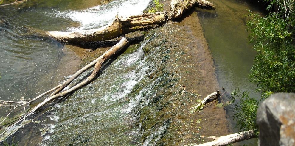 Debido a la sequía se restringe la pesca en el río Guadalaviar