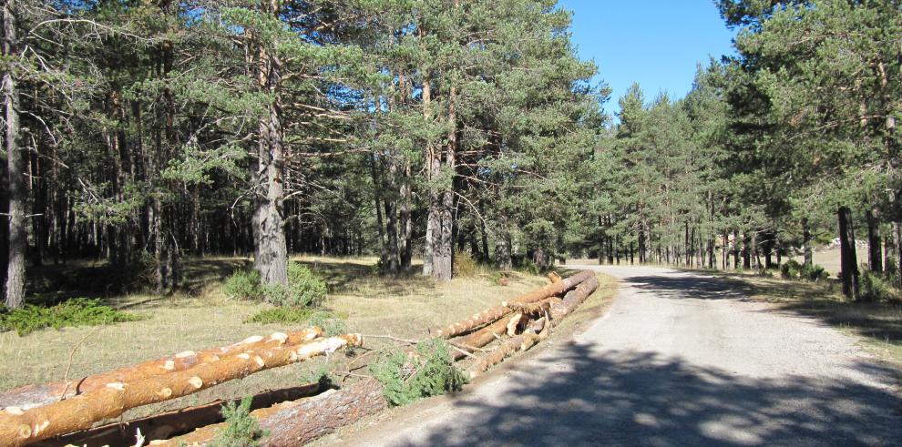 La dirección de Sarga, UGT y CSIF alcanzan un acuerdo sobre la prórroga de los contratos de las cuadrillas forestales