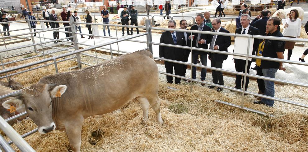 El Presidente de Aragón se reúne con 500 jóvenes agricultores para abordar los desafíos a los que se enfrentan