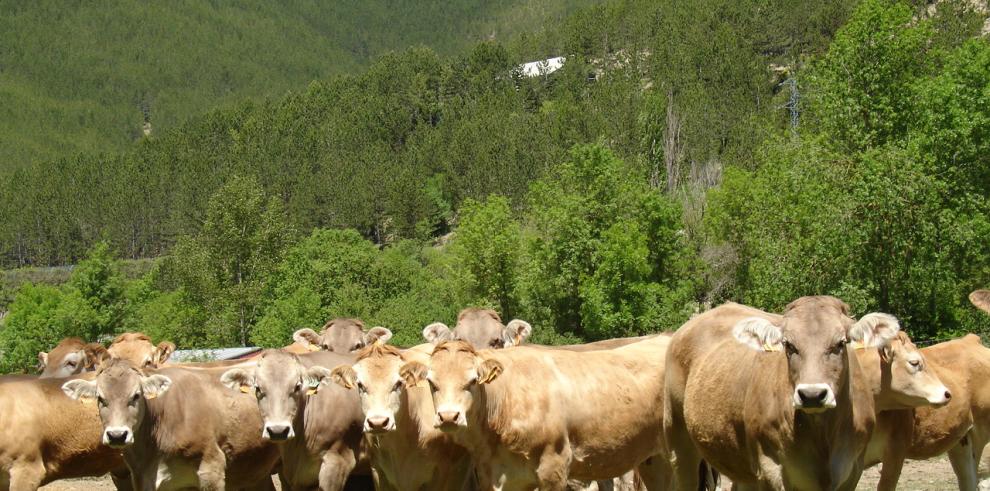 Las "Rutas Científicas, Artísticas y Literarias" llegan los miércoles a la finca La Garcipollera del CITA