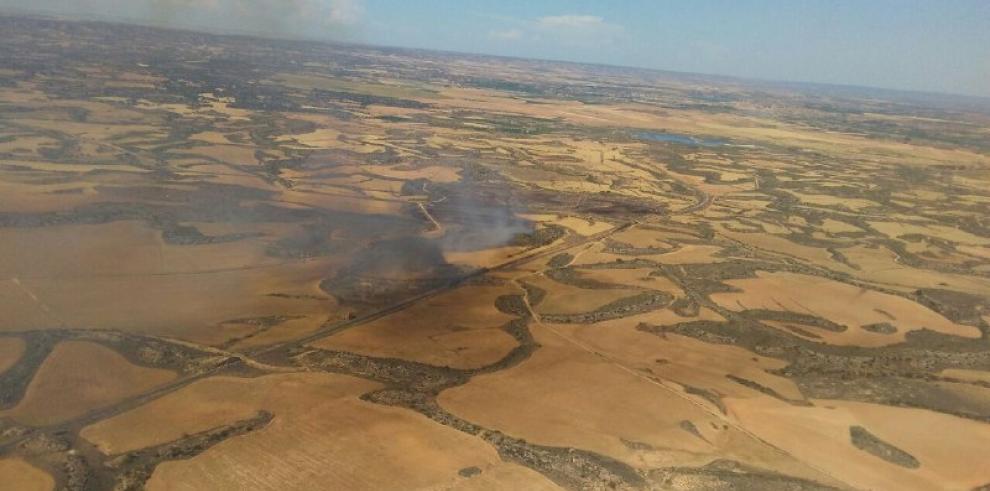 El Gobierno de Aragón advierte del alto riesgo de incendios forestales para todo el fin de semana