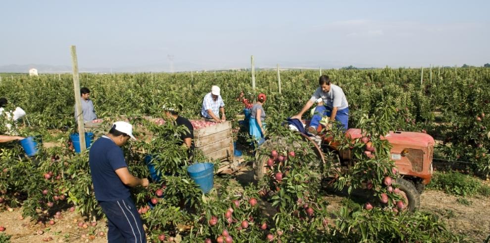 Economía financia el acondicionamiento de alojamientos para trabajadores temporales del sector agropecuario