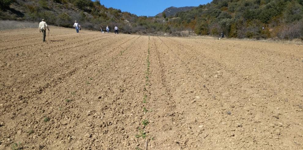 El CITA participa en 23 proyectos del Plan de Desarrollo Rural de Aragón 