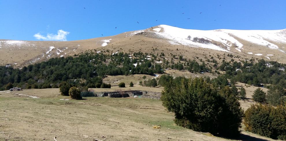 Ordesa y Picos de Europa conmemorarán de forma conjunta el centenario de los parques nacionales