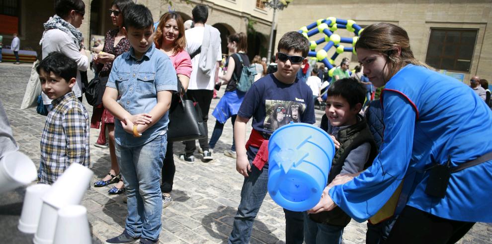 Ciencia para vencer al dragón de San Jorge en el Pignatelli