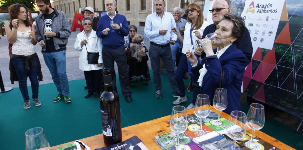 “El vencimiento del dragón” en Alcañiz, foto ganadora del concurso AmasAragón