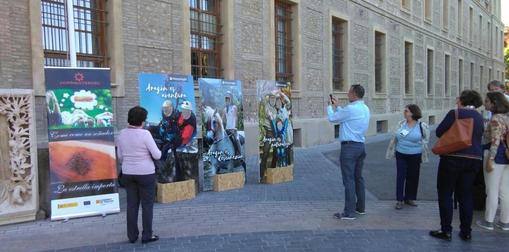 “El vencimiento del dragón” en Alcañiz, foto ganadora del concurso AmasAragón