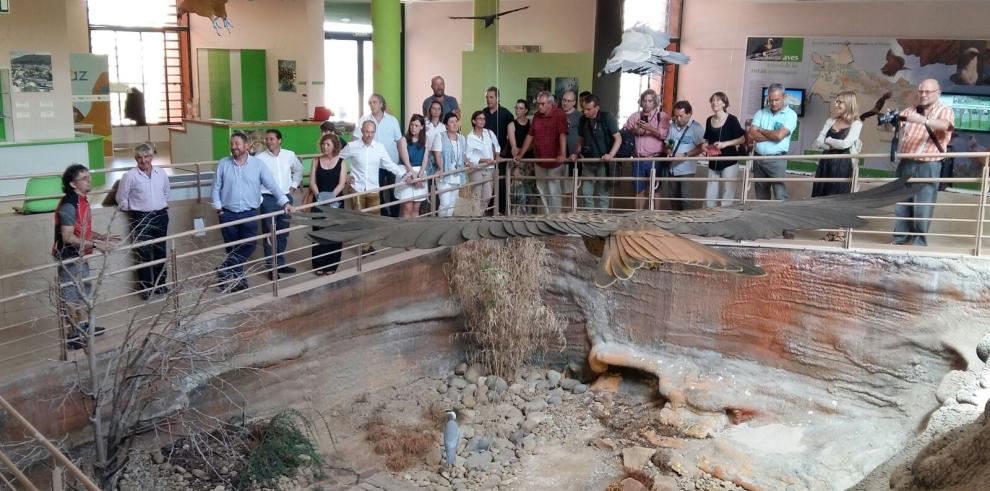 Birding in Aragón, la apuesta por la ornitología como foco de atracción turística