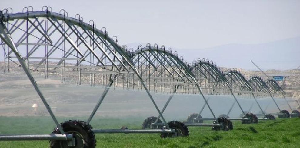 Desarrollo Rural convoca a más de 500 agricultores jóvenes en FIGAN 