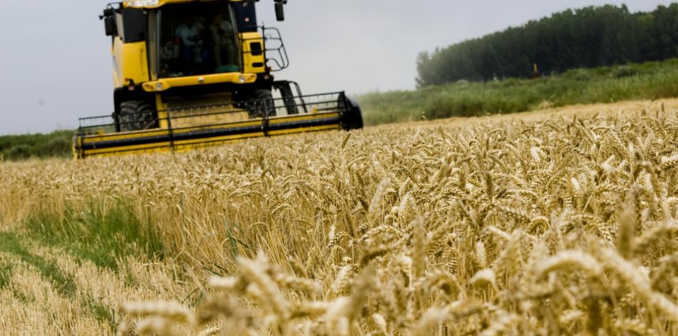 Olona reclama la simplificación de la PAC al comisario europeo de Agricultura y al presidente español del FEGA