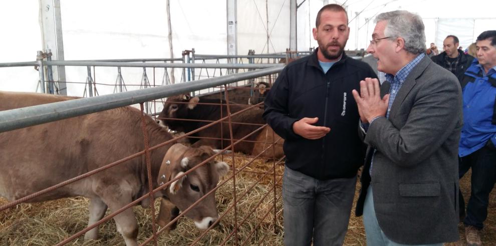 Olona defiende el carácter incentivador que deben tener las ayudas, que deben ir vinculadas a objetivos