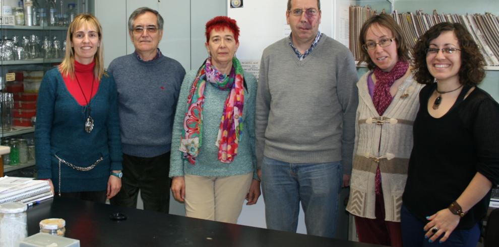 Investigadores de la Unidad de Sanidad Vegetal del CITA reciben el premio de prensa agraria de la Asociación Interprofesional para el Desarrollo Agrario