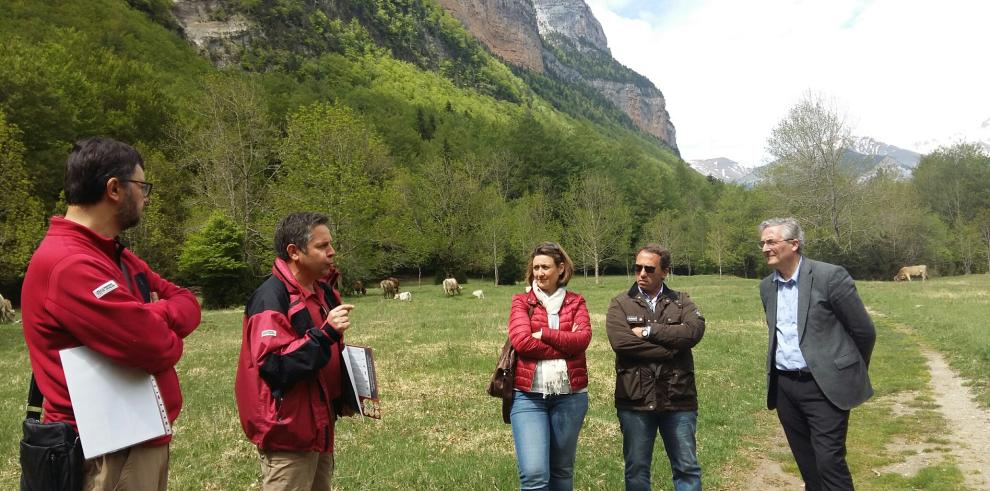 Olona destaca la importancia de vincular la ganadería y la agricultura a los espacios naturales protegidos para su conservación