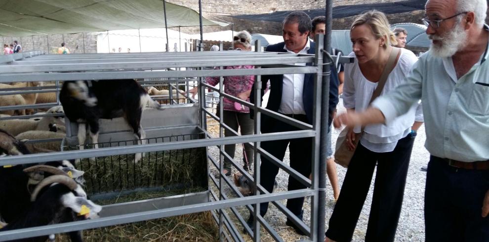 Marta Gastón: “La feria de Aínsa guarda la esencia del territorio y de la economía de montaña”