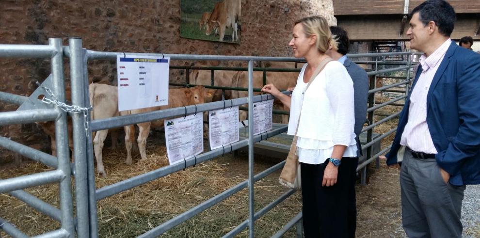 Marta Gastón: “La feria de Aínsa guarda la esencia del territorio y de la economía de montaña”