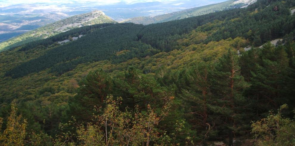 El Instituto Aragonés de Gestión Ambiental, hacia el expediente electrónico