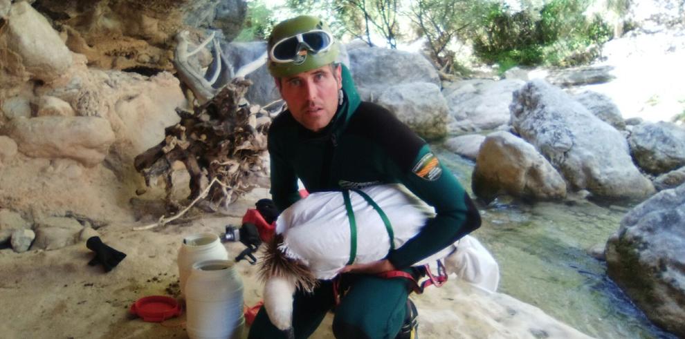 Rescate de un buitre leonado en un barranco del Parque Natural de la Sierra y los Cañones de Guara