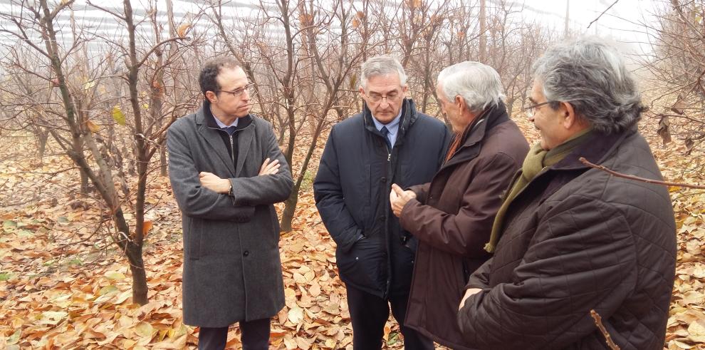 Olona pone al Canal de Aragón y Cataluña como ejemplo a seguir por otras comunidades de regantes