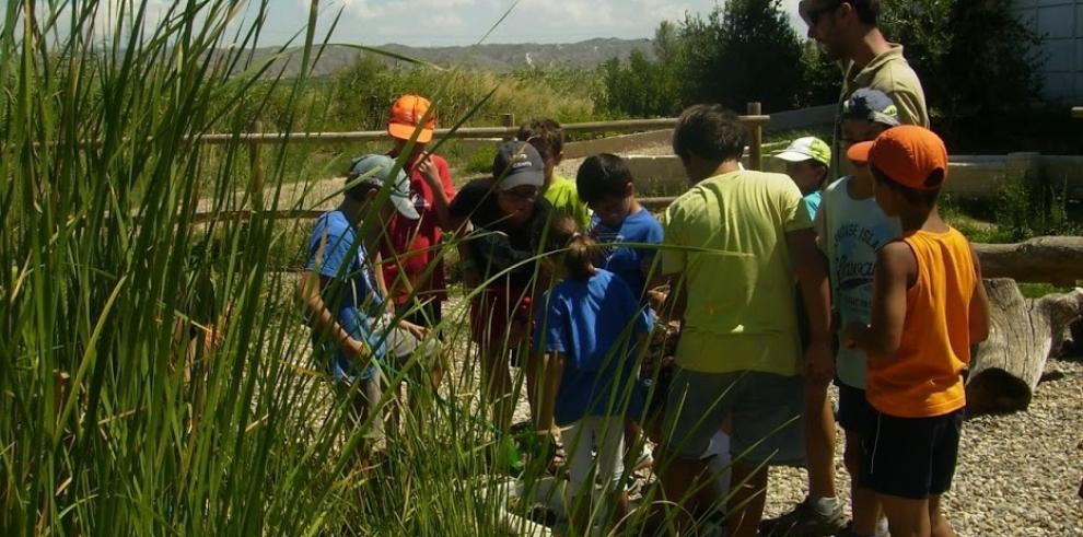 El campus del “Espacio Alfranca” pondrá en contacto a los más pequeños con el entorno rural y natural