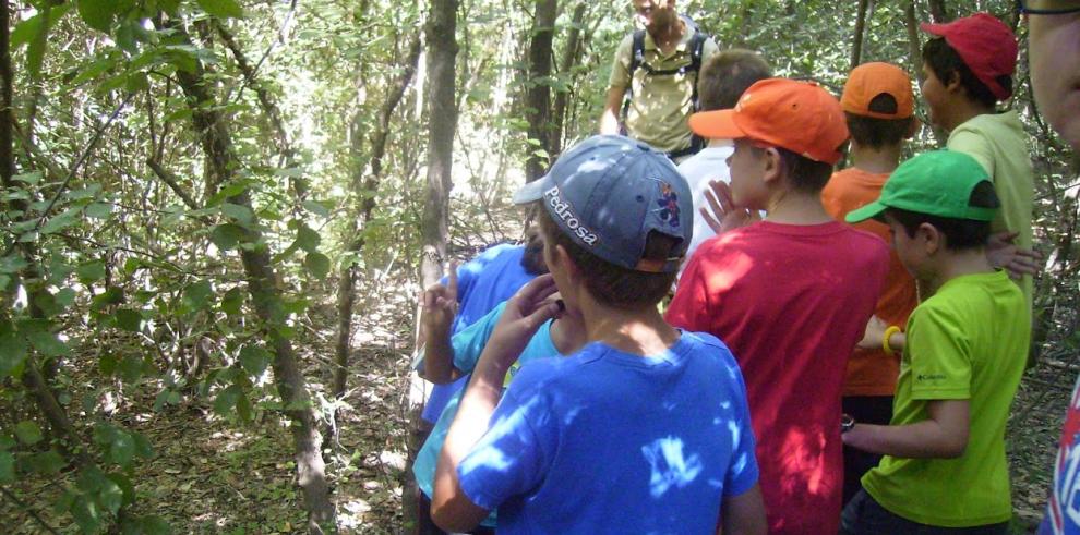 El campus del “Espacio Alfranca” pondrá en contacto a los más pequeños con el entorno rural y natural