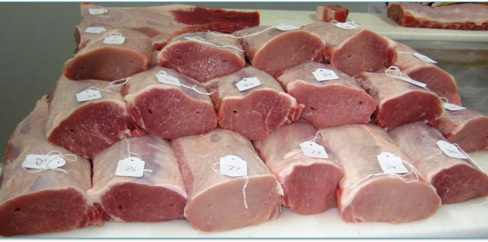 Calidad, producción y comercialización para la carne de cerdo de Teruel