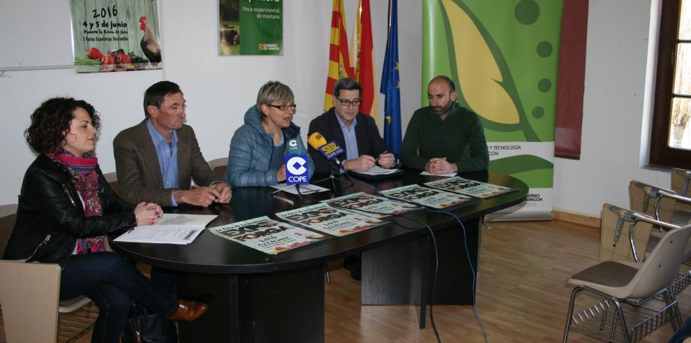 La finca experimental de La Garcipollera (CITA) protagonista de las jornadas técnicas de Expoforga