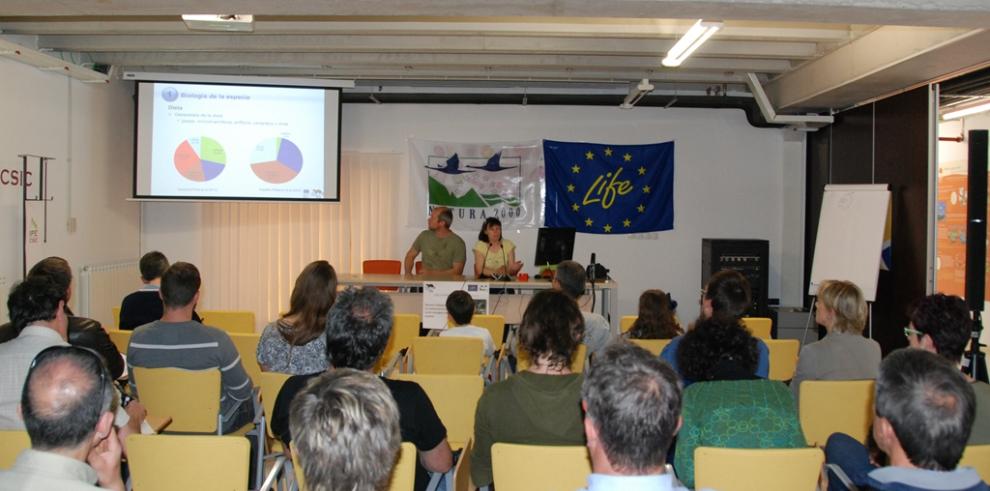 Un paso más en la reintroducción del visón europeo en la cuenca del río Aragón