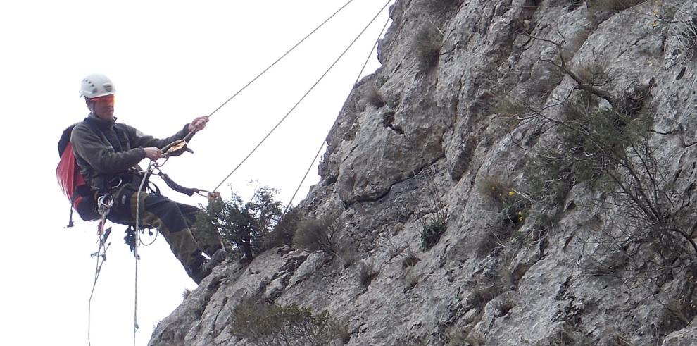 Desmontaje de una vía de escalada ilegal en Castillonroy en defensa del águila perdicera