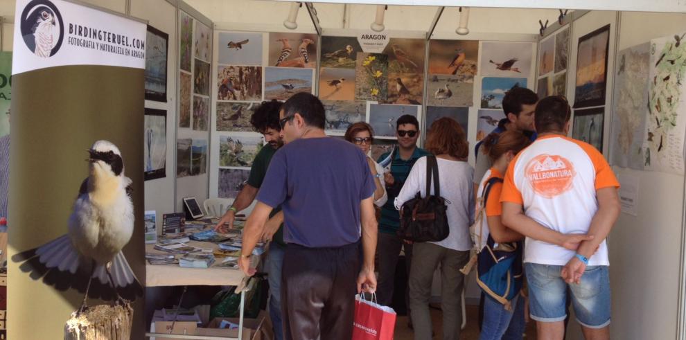 El turismo ornitológico, un producto en el que destaca Aragón