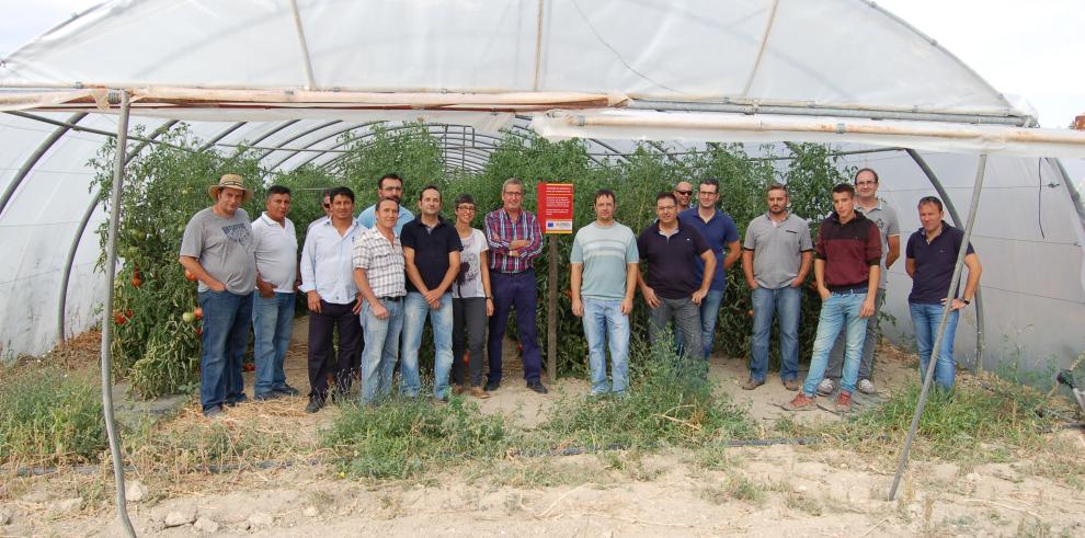 El CITA trabaja en las necesidades de productores y consumidores de Tomate Rosa de Barbastro