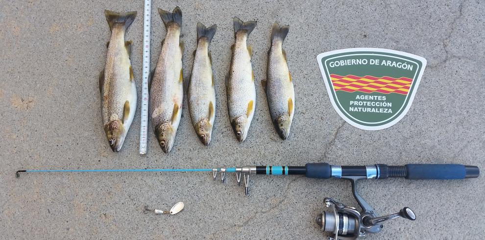 Operación contra la pesca furtiva en la Ribagorza de Huesca