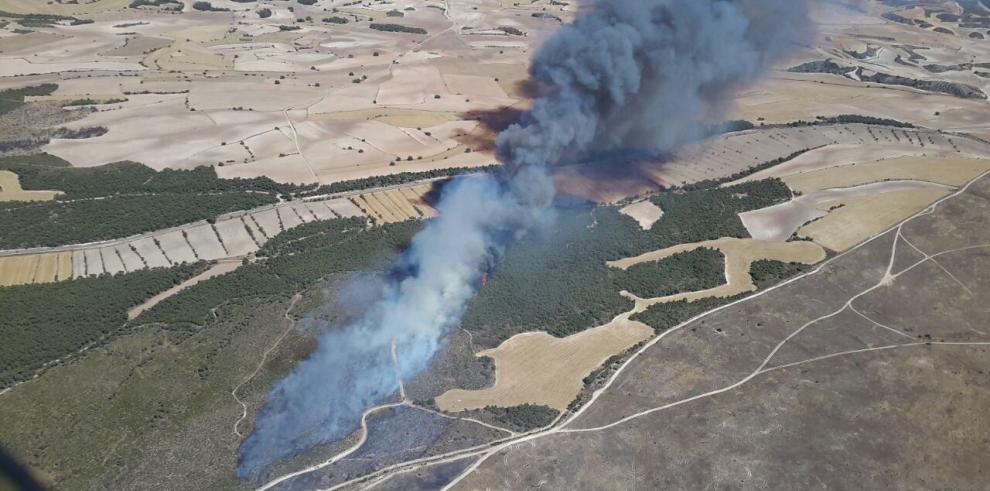 Efectivos del Gobierno de Aragón, Ministerio de Medio Ambiente, Ejército y Bomberos intentan estabilizar  un incendio en el monte de Zuera