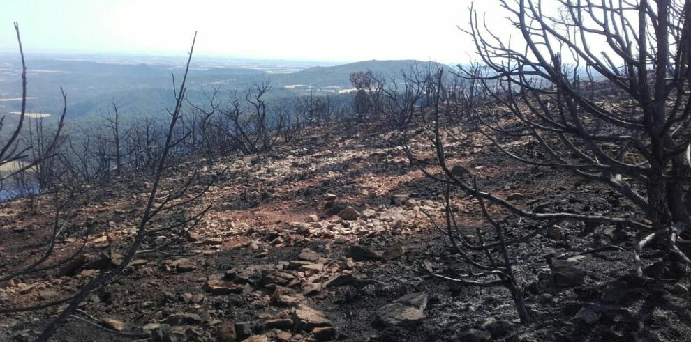 Controlados los incendios de Alcañiz y Bierge