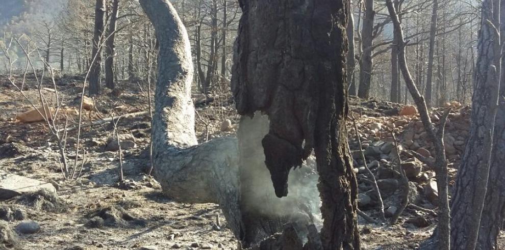 oche tranquila en la zona afectada por el incendio de Santa Cruz de la Serós