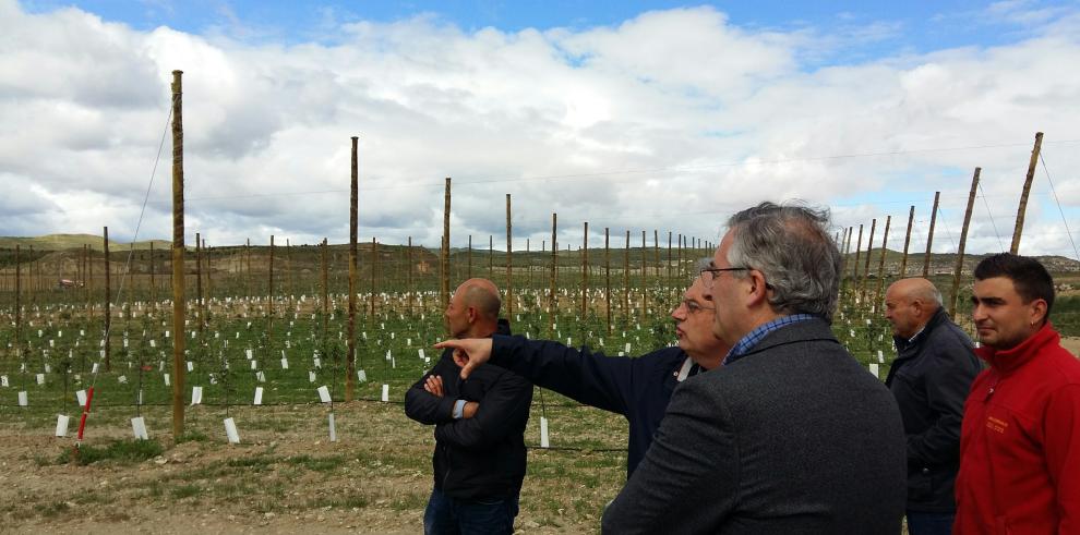 Olona considera fundamental incluir la fruticultura en la reforma de la PAC