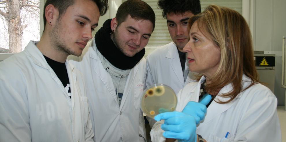 Estudiantes de Ciencia y Tecnología de los Alimentos conocen el Área de Laboratorios de Análisis y Asistencia Tecnológica del CITA