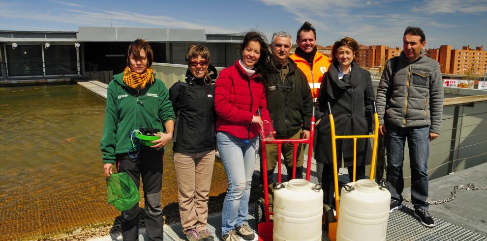 El Gobierno de Aragón protege la conservación de un molusco de río en peligro de extinción llamado margaritona, ayudado por el pez fraile