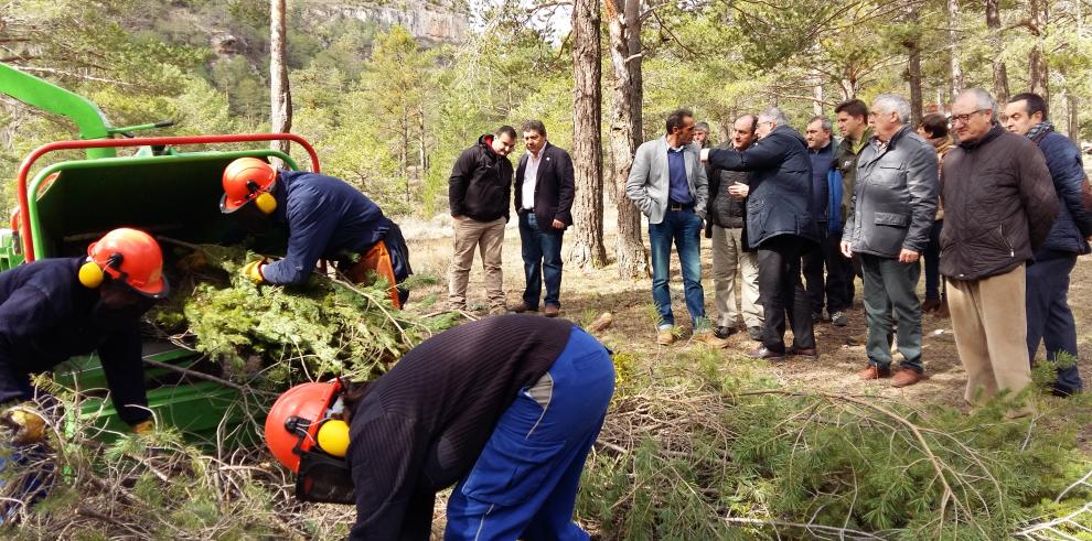 Olona recuerda en la Serranía de Albarracín que el Departamento de Desarrollo Rural y Sostenibilidad ha aumentado un 30% su presupuesto de gestión forestal