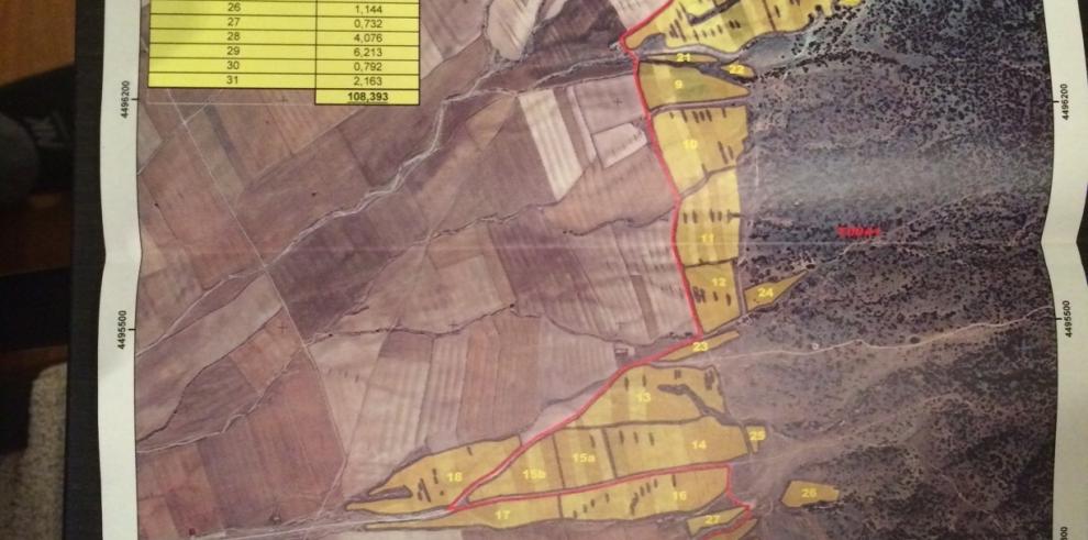 El Gobierno de Aragón inicia mañana la reforestación en 140 hectáreas de monte en  Torremocha