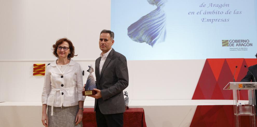 Javier del Valle Melendo, Premio Medio Ambiente de Aragón 2015