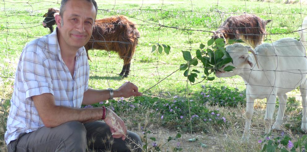 El CITA invitado en la Expo de Milán