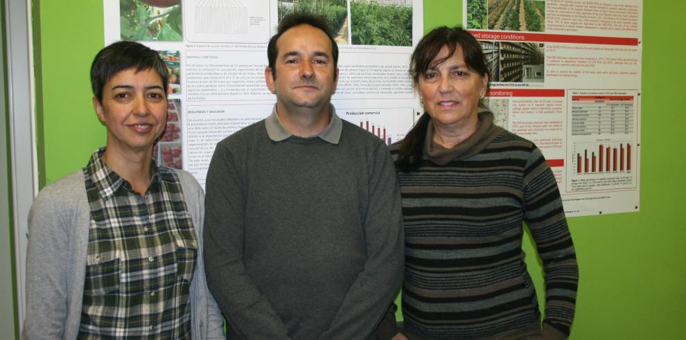 Los trabajos en la selección de la Cebolla de Fuentes y el Tomate Rosa de Barbastro premiados por la Academia Aragonesa de Gastronomía 